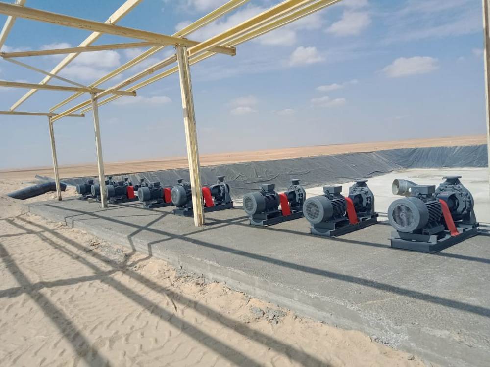 Gannet Misr Irrigation Lifting Pump Stations