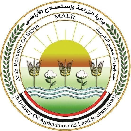 EMAAR MISR