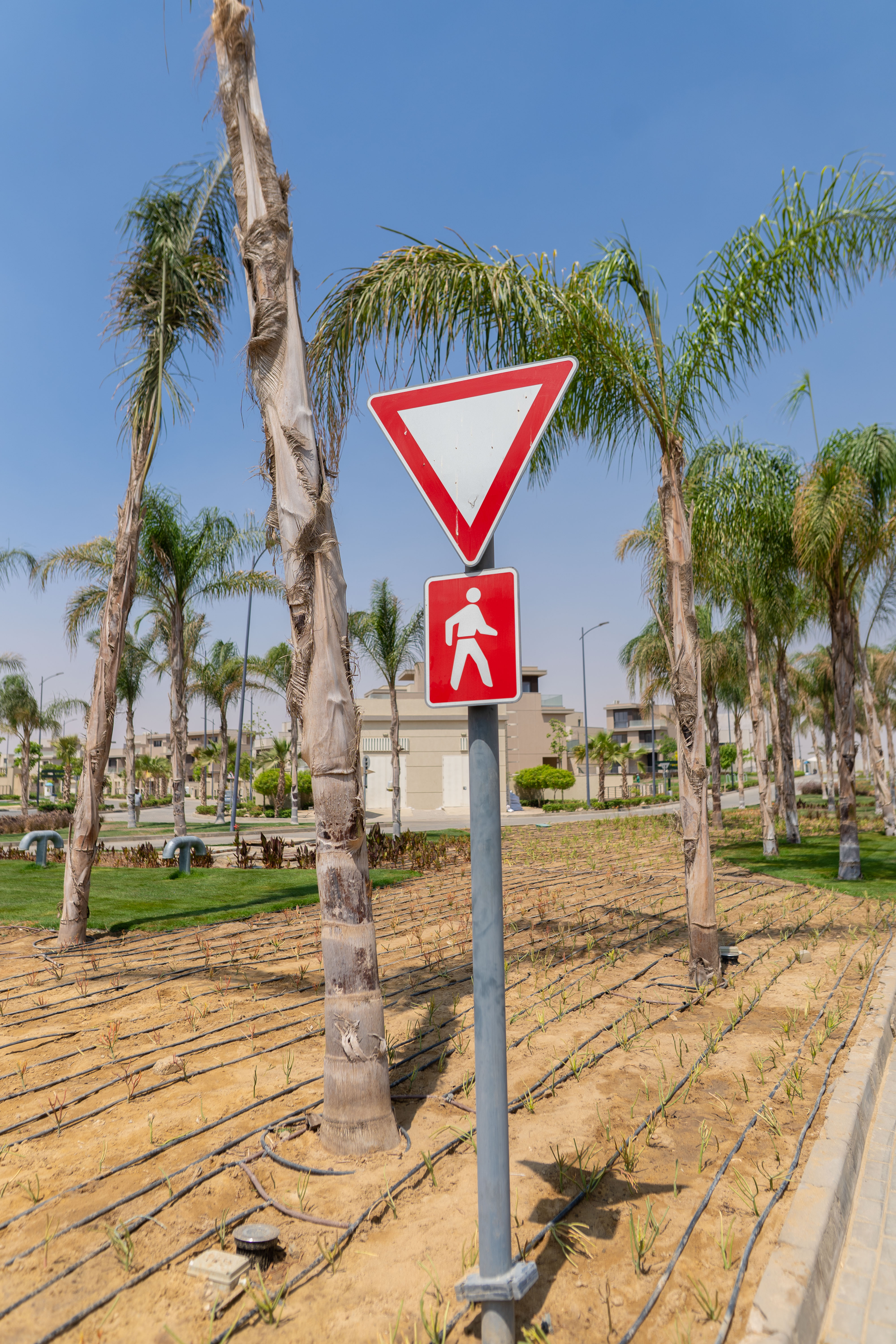 Roads, Infrastructure & Landscape
